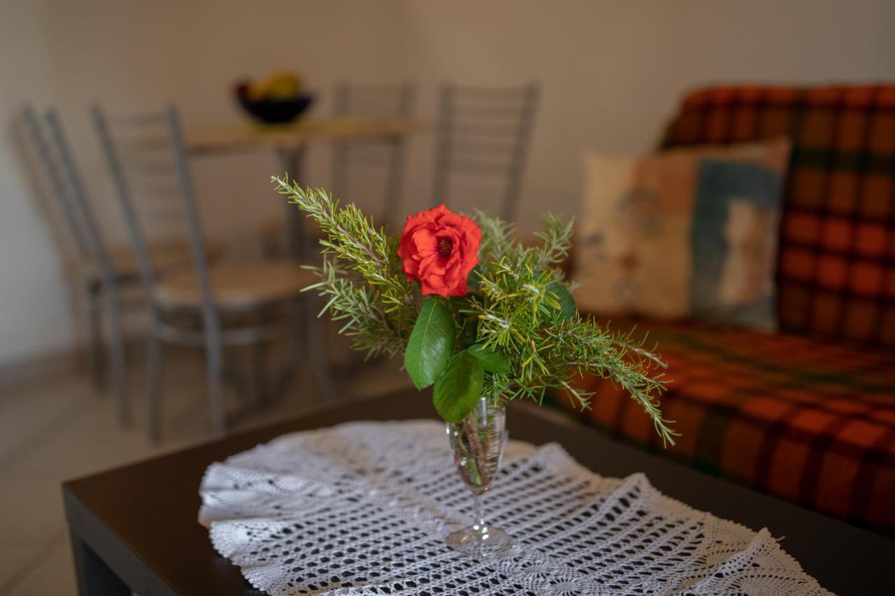 Apartman Kristo Vir Kültér fotó